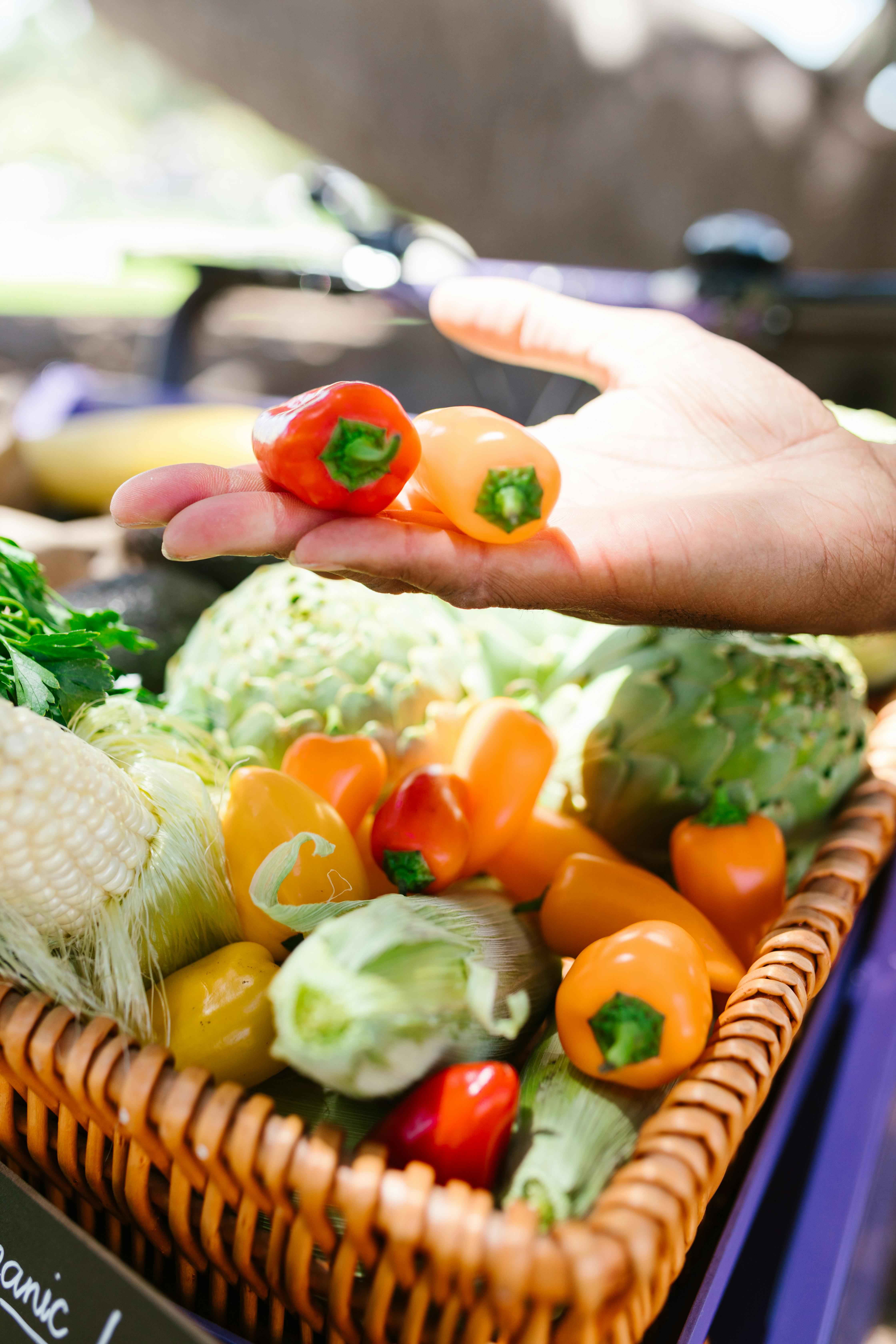 Fresh vegetables