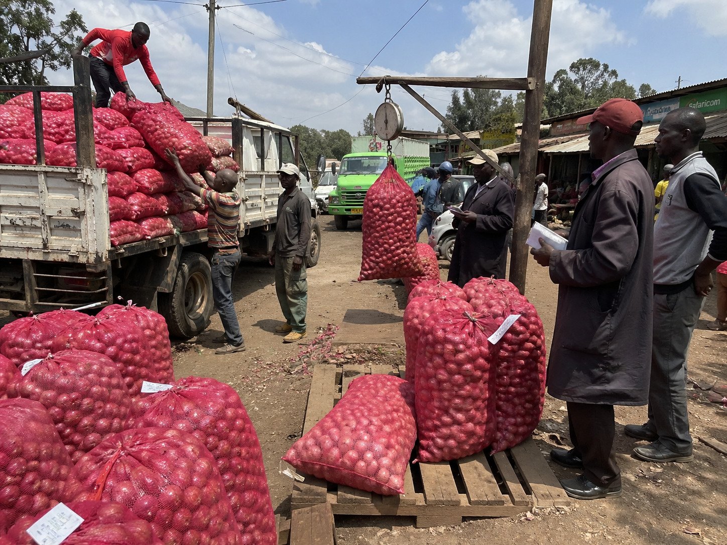 Onion sourcing corridor
